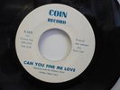 funk 45 HARRISON & MAJESTIC KIND can you find me love