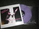 Ariel Pink's Haunted Graffiti - Underground LP COLORED