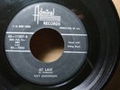 COUNTRY 45 RAY ANDERSON  At Last   CLICK TO HEAR
