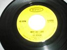 the Remains-Why Do I Cry/My Babe  near mint original
