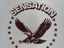 rare private psych folk LP  SENSATION  sealed