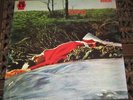 SPRING - SAME  - NEON UK 1971 GORGEOUS MINT ORIGINAL