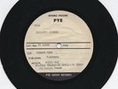 PETER JAY(JOE MEEK ACETATE)1960 PARADISE GARDEN.