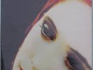 SLOWDIVE Outside Your Room 12