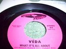 VEDA  -  WHAT IT'S ALL ABOUT  (WEST SOUNDS)