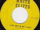 NORTHERN SOUL 45 RPM - SUNNY RIDELL on WHITE CLIFFS