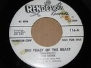 DOO WOP 45 - THE LIONS - RENDEVOUS 116 PROMO