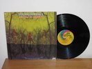 American Blues - Do Their Thing LP Pre ZZ Top 1968 UNI