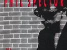PHIL SPECTOR 'BACK TO MONO'-5 LP BOX SET- BEAUTIFUL
