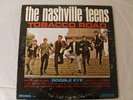 RARE THE NASHVILLE TEENS TOBACCO ROAD LP ROCK ROLL MONO