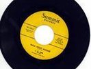 GREAT ROCKABILLY 45RPM RECORD-J D ORR-SUMMIT 105