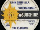 PLAYBOYS “BLACK SHEEP R.I.P.” AUSSIE PSYCH BEAST