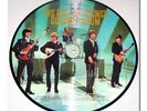 Rolling Stones Golden Album Rare Japan Picture Disc LP