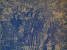 BROTHERHOOD - STAVIA - ORIGINAL PRIVATE PSYCH MONSTER 