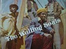 THE WAILING SOULS 
