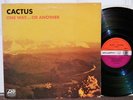Cactus 
