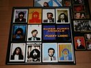 SUPER FURRY ANIMALS Fuzzy Logic vinyl LP