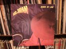 ** MC SHAN ** DOWN BY LAW LP 1986 MARLEY MARL ORIG