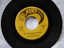 LITTLE JUNIOR LEWIS CAN SHE GIVE ME FEVER FURY LABEL