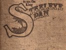 STEELEYE SPAN - PLEASE TO SEE THE KING - 1969 VINYL LP