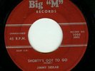 JIMMY SEDLAR - SHORTY'S GOT TO GO R&B Popcorn 45 HEAR