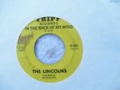 THE LINCOLNS-IN THE BACK OF MY MIND,TRIPP RECORDS,PSYCH