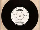 Champion Jack Dupree/T. S. McPhee 45 on Blue Horizon