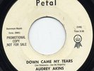 LISTEN-Northern Soul 45-Audrey Akins-Down Came My Tears