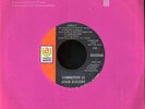 DAMNATION OF ADAM BLESSING psych 'Lonely' 45  LISTEN