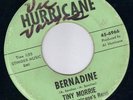 WILD HURRICANE ROCKER / ROCKABILLY - TINY MORRIE (HEAR)