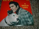 GERMAN LP - ELVIS- A DOG'S LIFE - MINT
