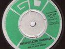 Our Plastic Dream - A Little Bit Of Shangrila PSYCH