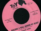 Rare Northern Soul 45 - SUSAN KING (Toy)