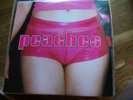 PEACHES-Teaches Of orig synth dbl LP