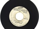 DELROY WILSON - RIDING FOR A FALL - COXSONE