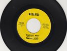 CANDACE LOVE-WONDERFUL NIGHT / UH UH BOY-AQUARIUS