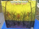 AMERICAN BLUES Do Their Thing UNI Pre-ZZ TOP Orig. LP