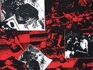 GG ALLIN & ANTI-SEEN - MURDER JUNKIES LP VERY GOOD++ NM