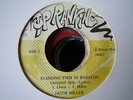 Jacob Miller Standing firm in babylon  roots 7