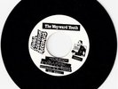 THE WAYWARD YOUTH PUNK VINYL 45   FINAL SOLUTION FS-001