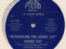Electro Boogie - COSMIC CAT on Premo | RARE | SEALED
