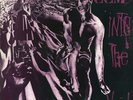 CCM Into the void Lp (Cani Wretched) punk