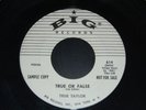 RARE True Taylor True or False 45 Paul Simon BIG PROMO