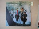 Groundhogs SCRATCHING THE SURFACE   vinyl  v363
