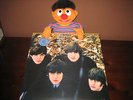 THE BEATLES ALTERNATE FOR SALE SWINGIN PIG BLUE ¡¡WOW 