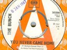 THE BUNCH*YOU NEVER CAME HOME*DEMO KILLER MOD*LISTEN