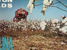 CAROLINA SLIM    BLUES FROM THE COTTON FIELDS     SHARP
