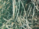 KOREAN LONELY PSYCH DARKNESS SOUL FUNK DRAMA BREAK Hear