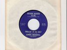 SAMMY MARSHALL & the TENNESSEE HOT DOGGERS / HONEYHONEY