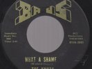 The Knots What A Shame Garage Psych Rock 45 Baus HEAR